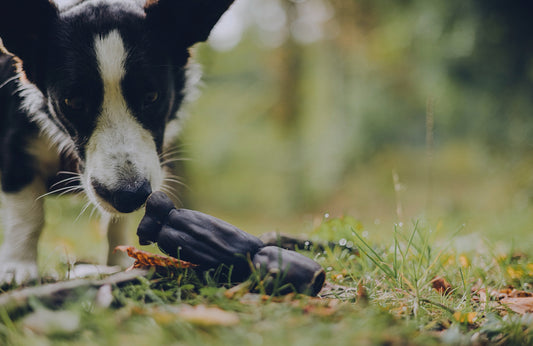 Whesco Kamelskindsruller - 150g