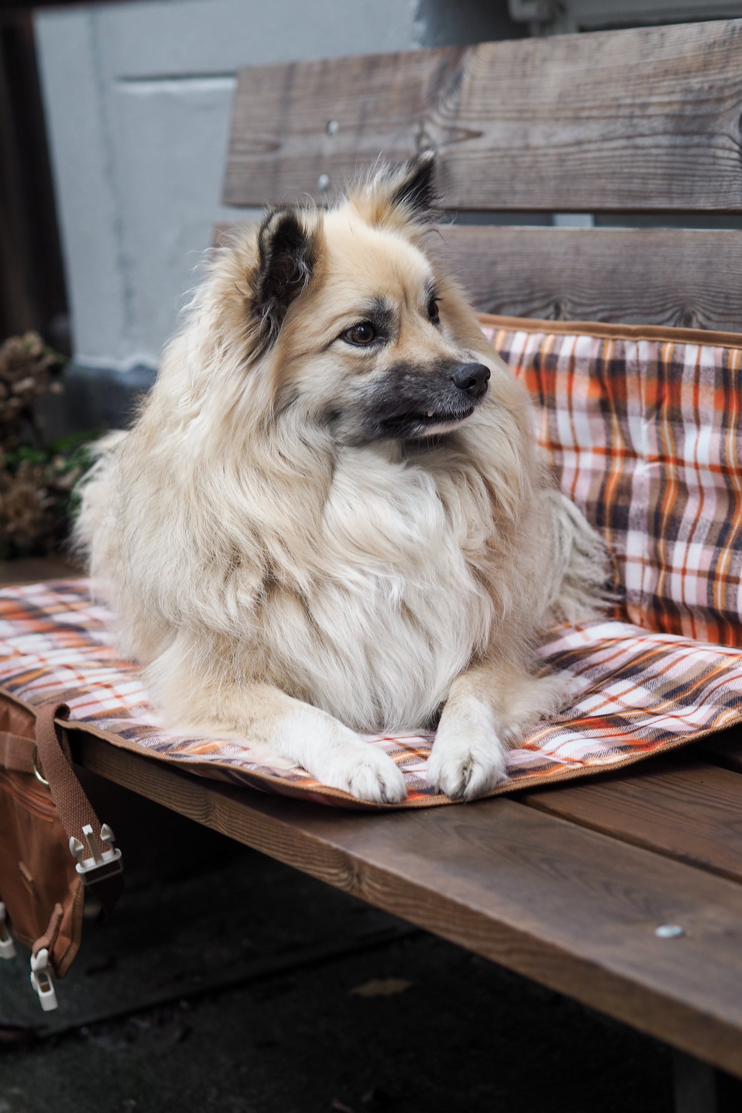 Travel mat - Fall Tartan