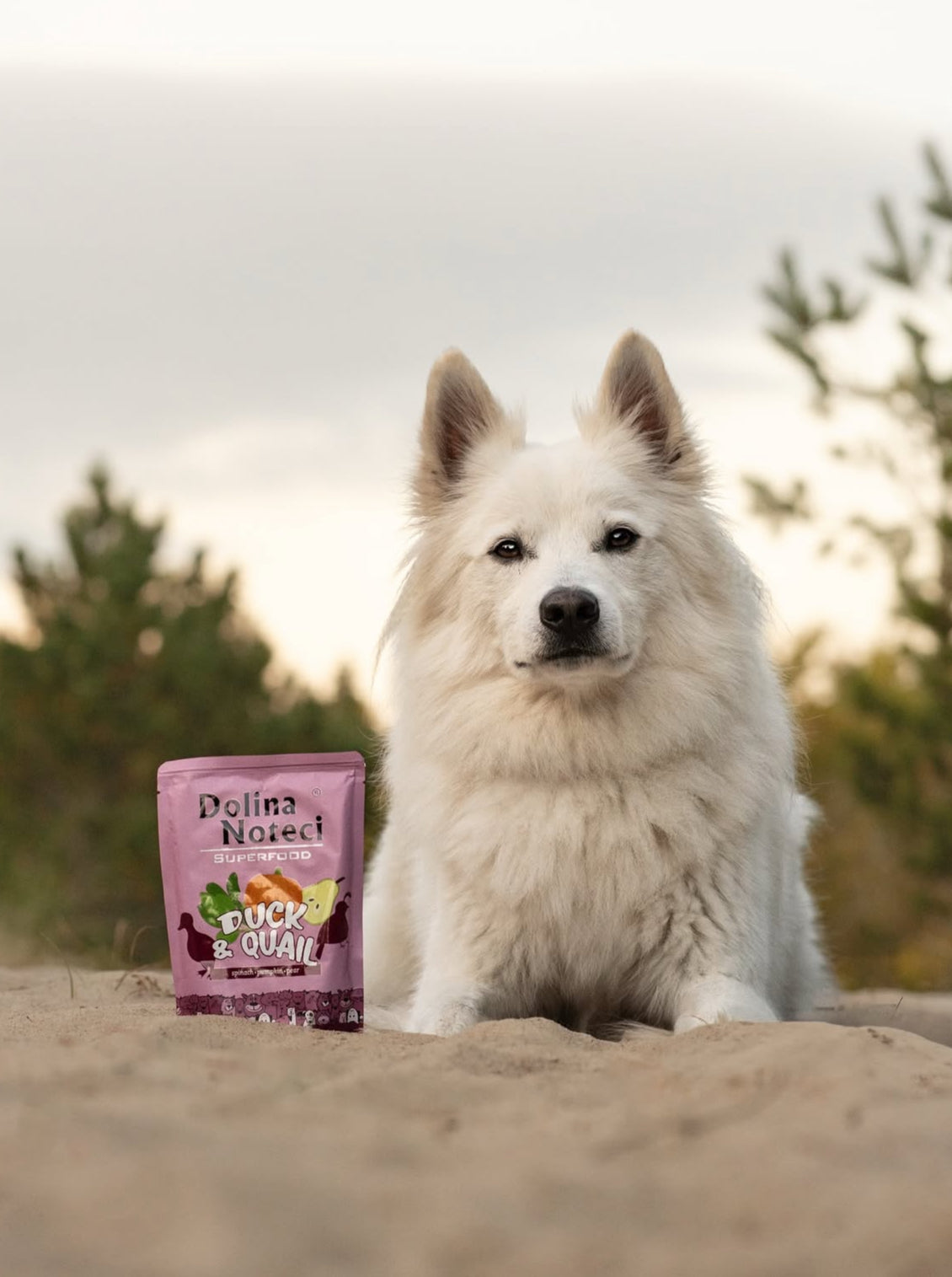 Dolina Noteci Superfood Paté And & Vagtel - 300g