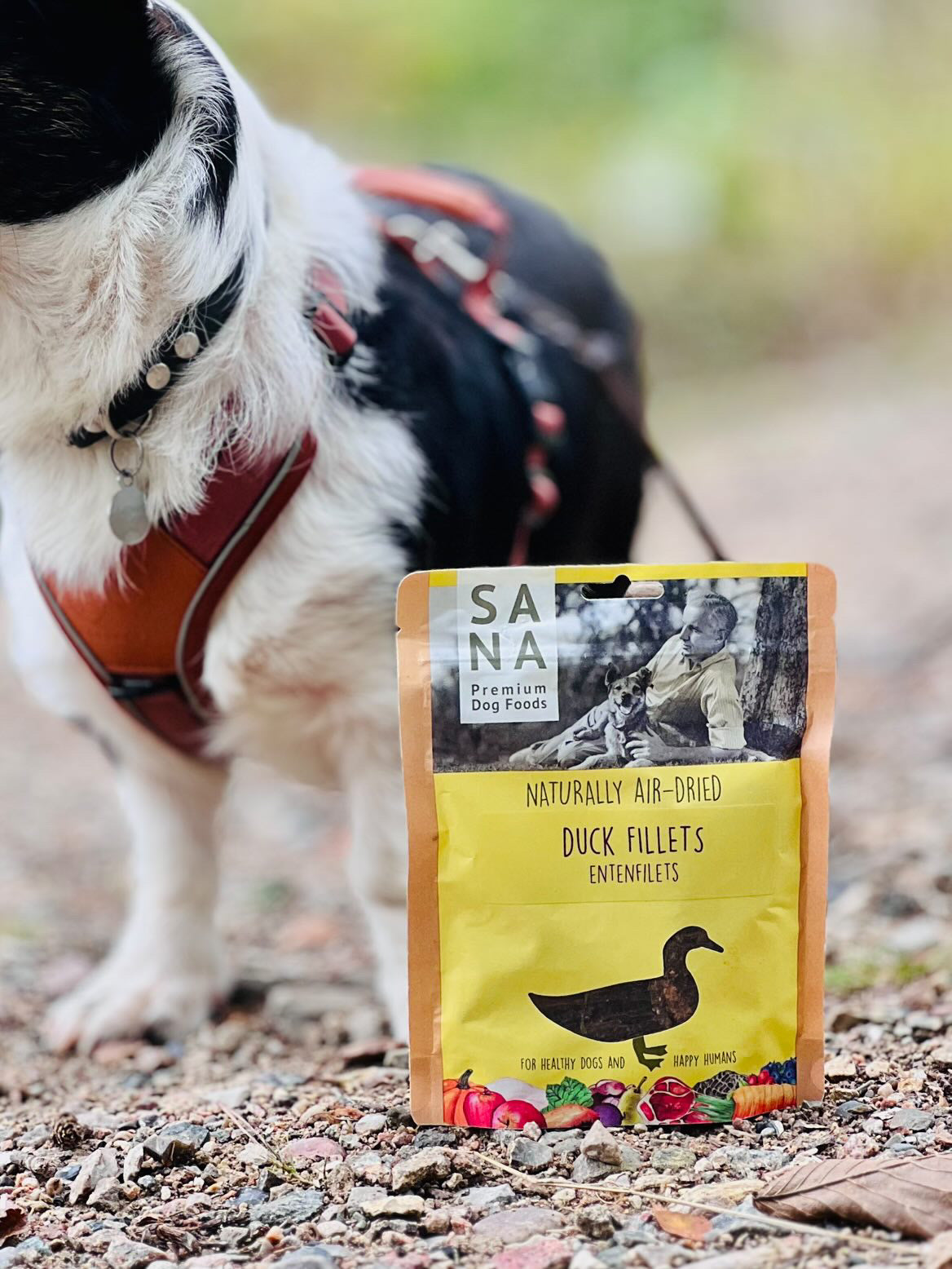 Sanadog Ande filéter - 100g