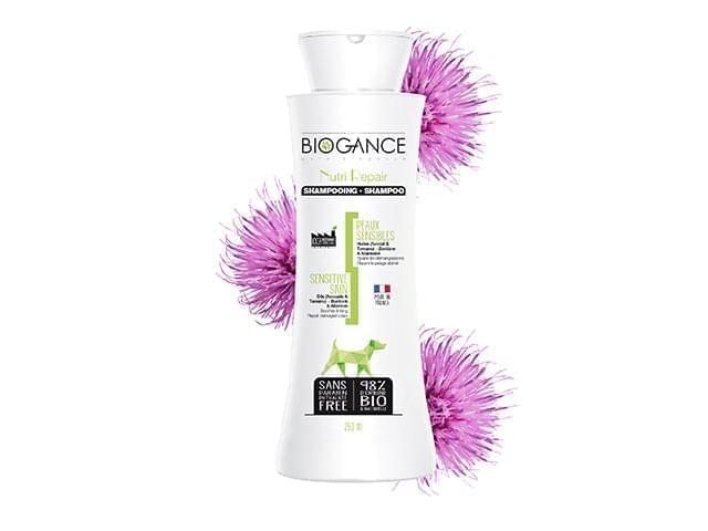 Shampoo og balsam