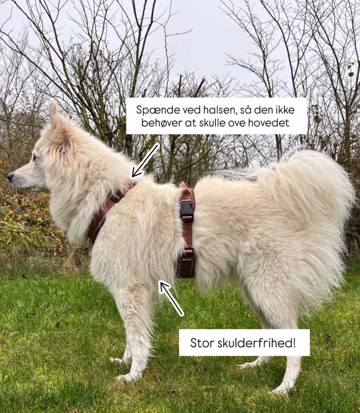 Terrain Trails Pro Hundesele - Caramel