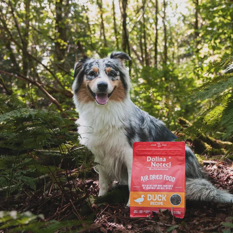 Dolina Noteci Superfood And - 1kg