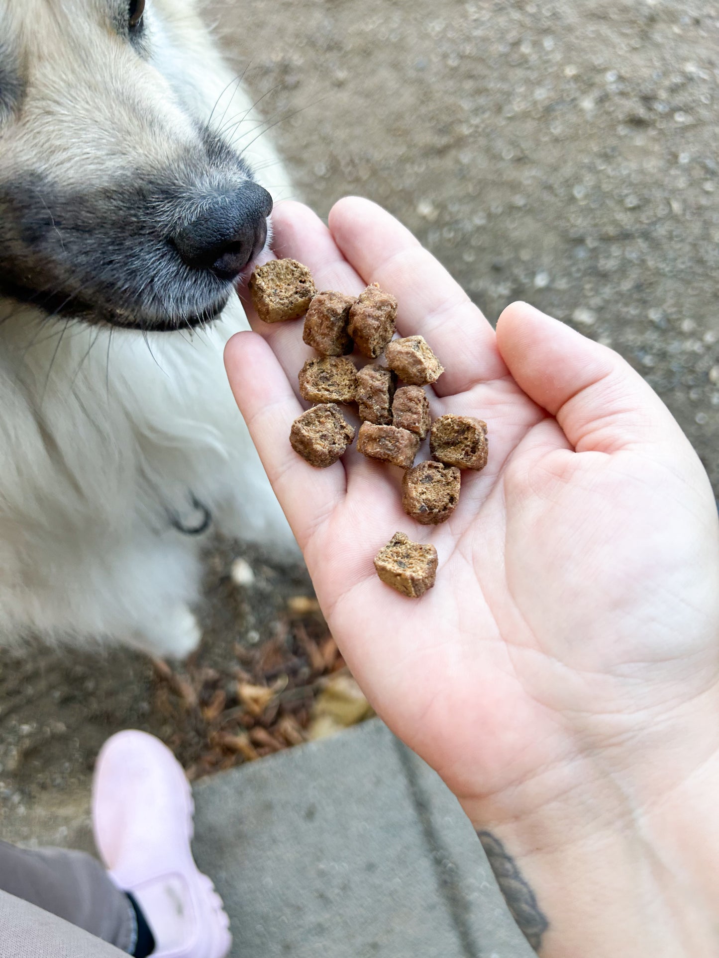 Dolina Noteci Superfood Laks - 1kg