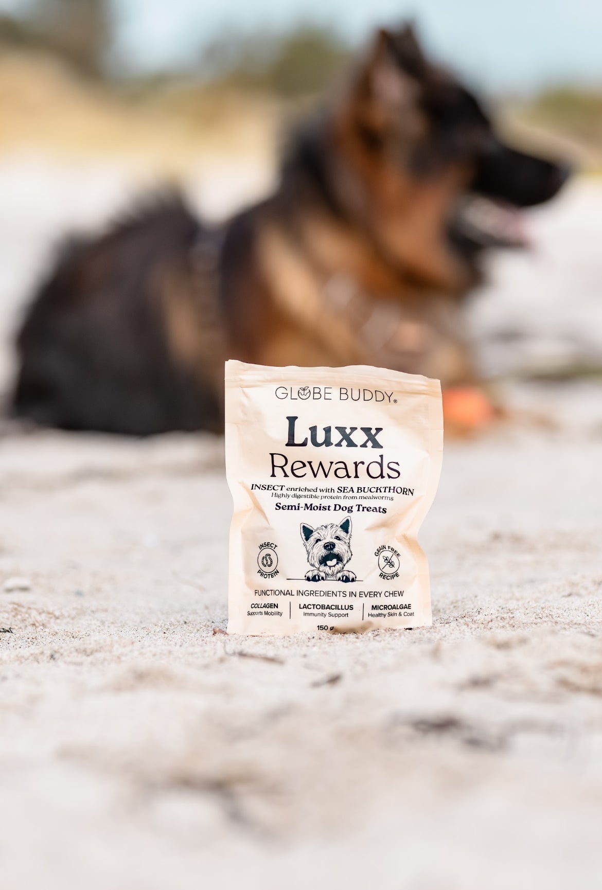 Globe Buddy Luxx Rewards insektprotein og havtorn - 150 g