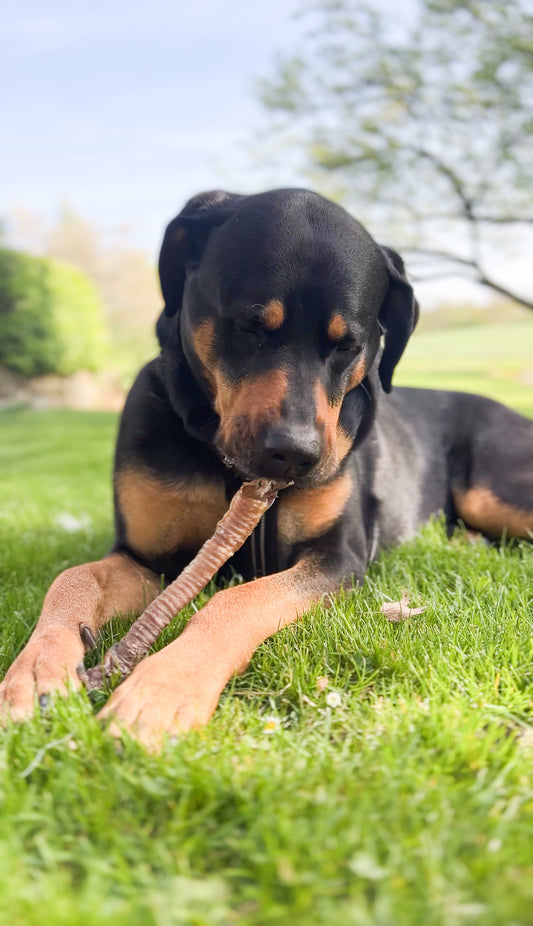 Snack'it Lammeluftrør - 200g