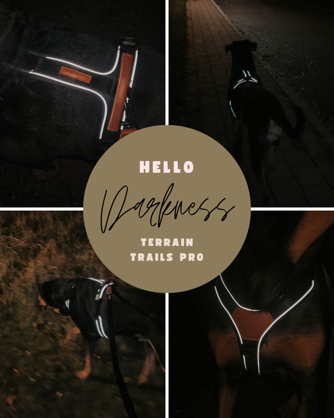 Terrain Trails Pro Hundesele - Black