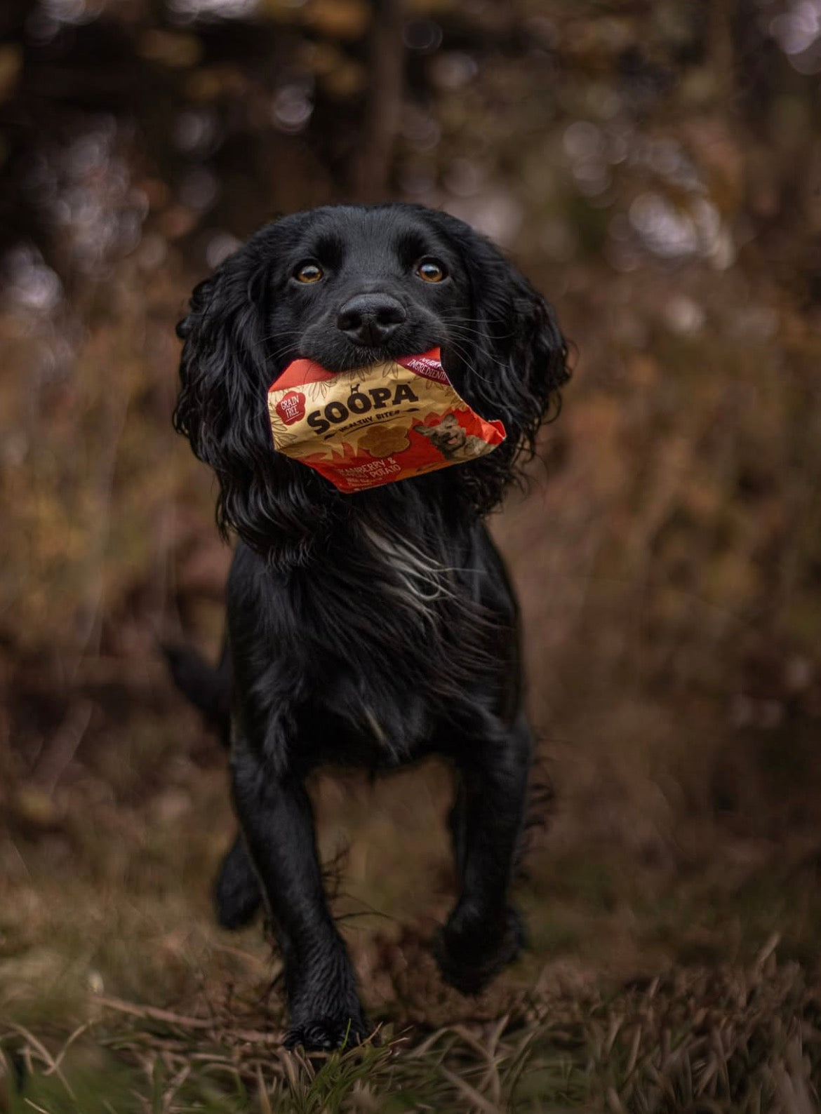 SOOPA Healthy Bites Tranebær Og Søde Kartofler - 50g