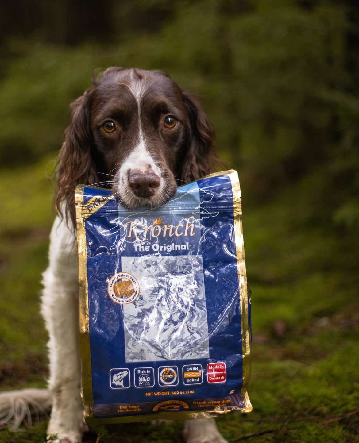 Godbidder til katte 😸