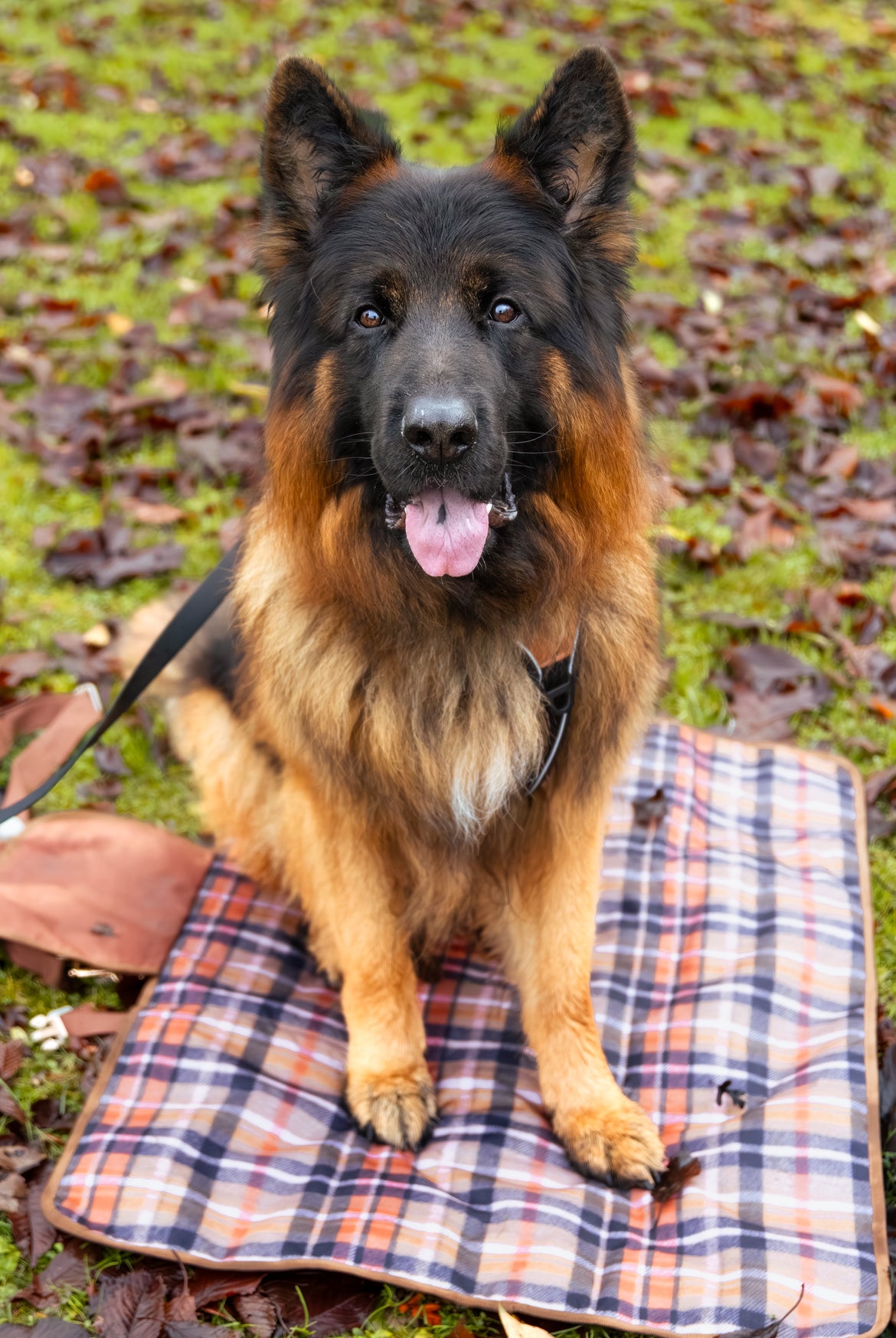 Travel mat - Fall Tartan