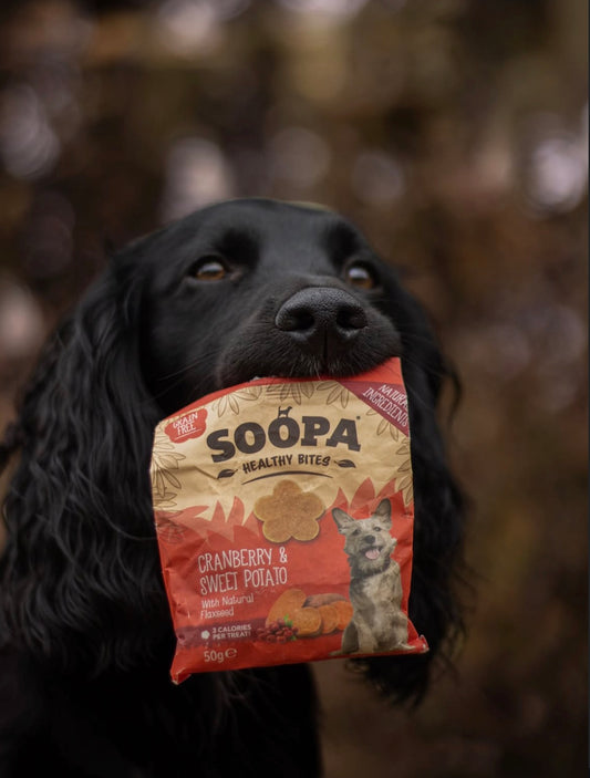 SOOPA Healthy Bites Tranebær Og Søde Kartofler - 50g
