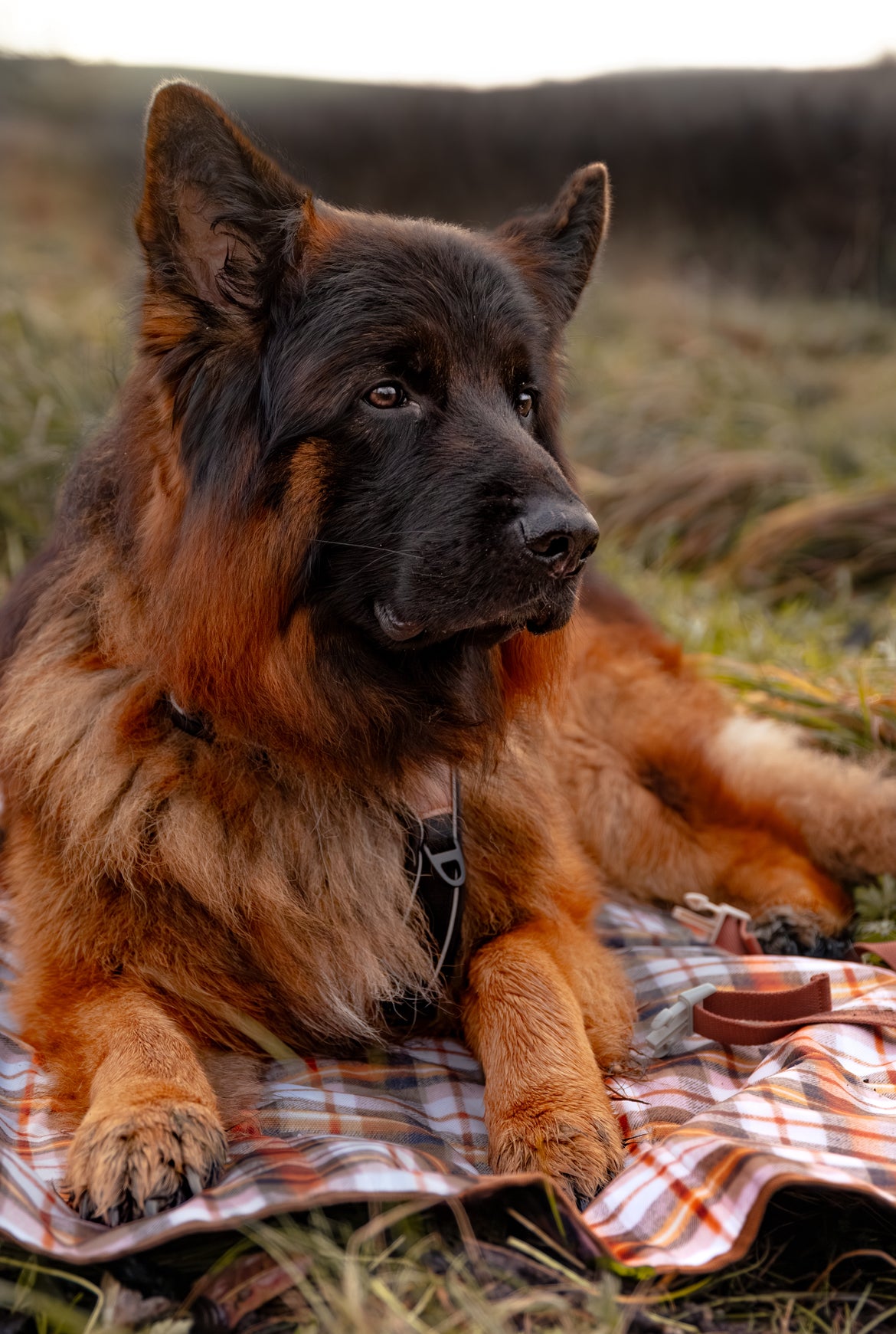 Travel mat - Fall Tartan