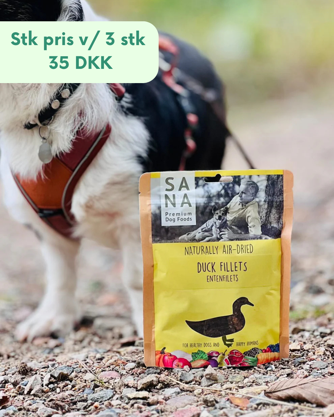 Sanadog Ande filéter - 100g