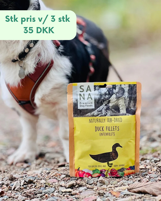 Sanadog Ande filéter - 100g